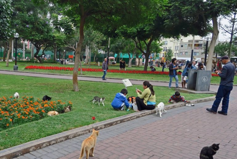 parque