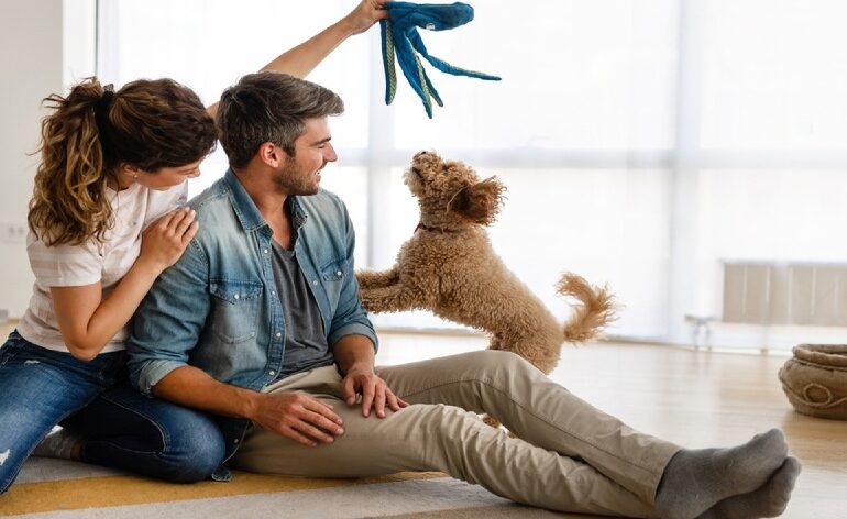 Departamentos Pet-Friendly